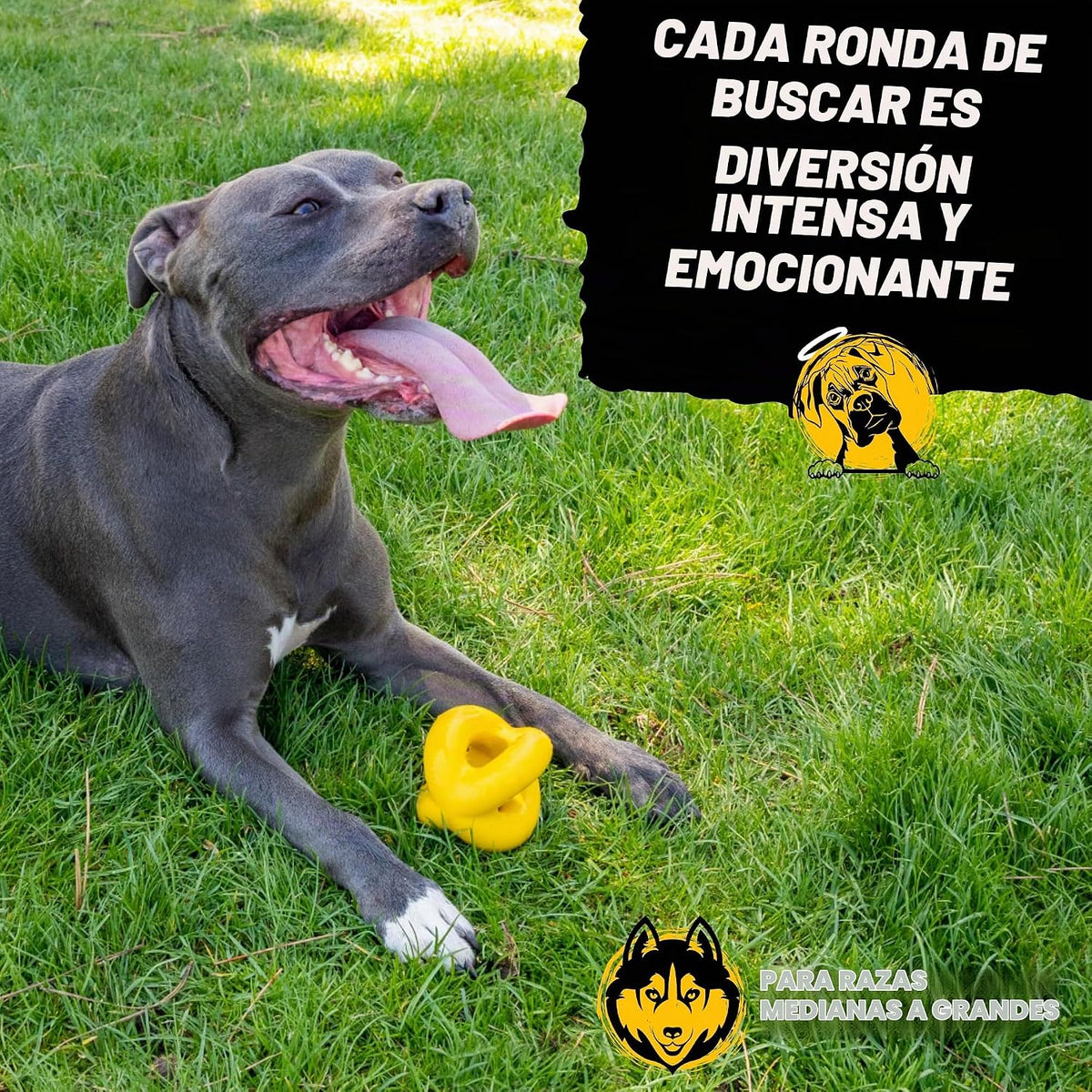 Indestructible Dog Ball - Lifetime Replacement - Durable Dog Toy para Aggressive Chewers - Safe, Non-Toxic Natural Rubber - Chew, Tug & Fetch - Tough, Heavy Duty Chew Toy - 4” (Softball Size)