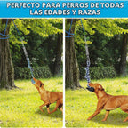 TRSMIMA - Juguetes de cuerda de poste de resorte para perros resistentes