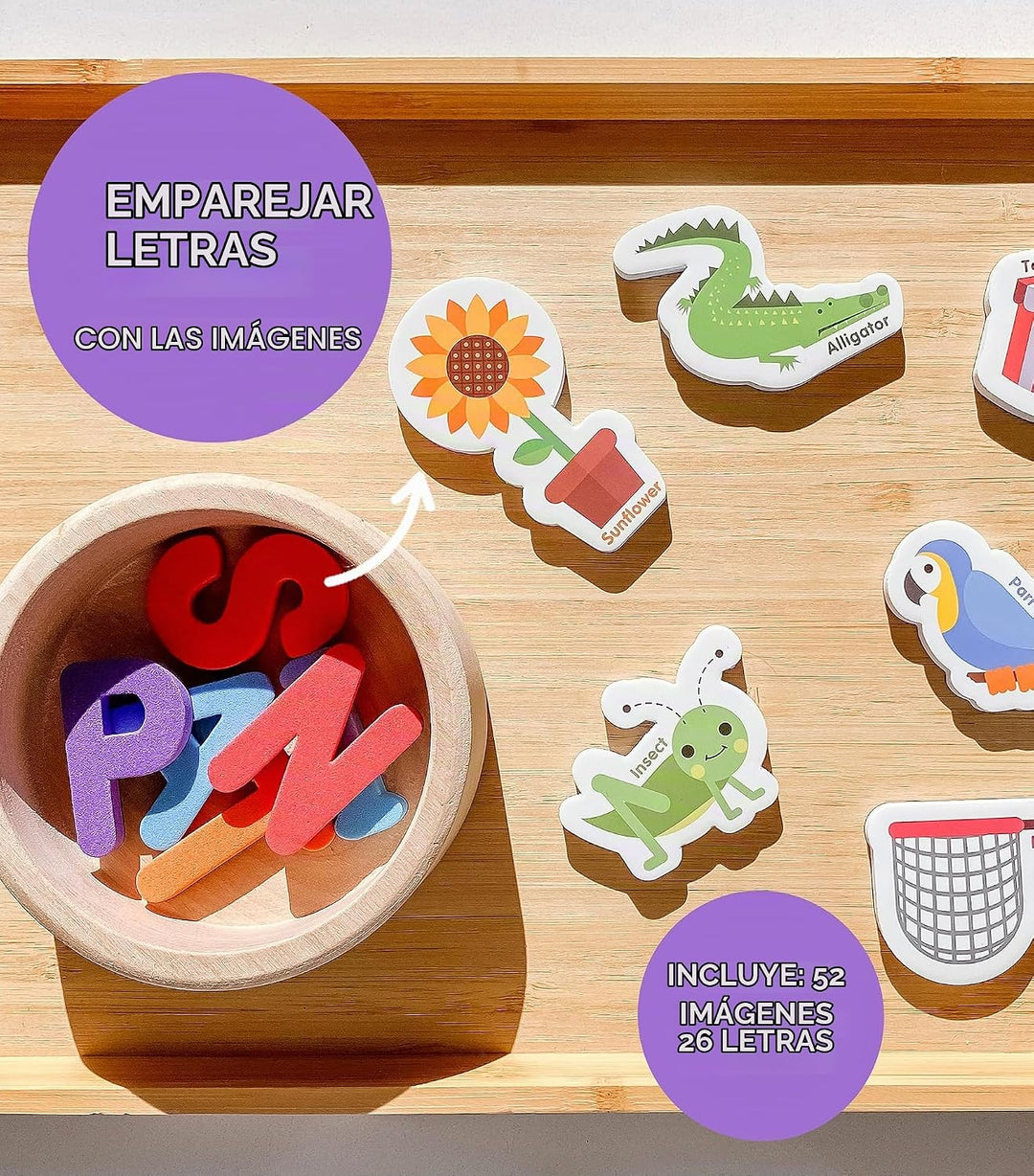 El Curioso Colón Objetos magnéticos y letras. Juego de 78 imanes de...