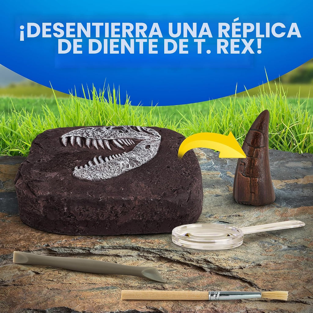 Juego de excavación de fósiles de dinosaurios NATIONAL GEOGRAPHIC y libro de dinosaurios para niños - Excava un fósil de diente de dinosaurio réplica y estudia la paleontología con un libro de