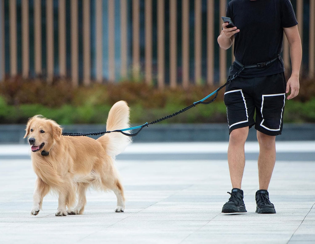Correa para perro manos libres con bolsa con cremallera, doble asa acolchada y bungee duradero para caminar, trotar y correr con tu perro (Mediano, 3.6-11.3 kg, Negro)