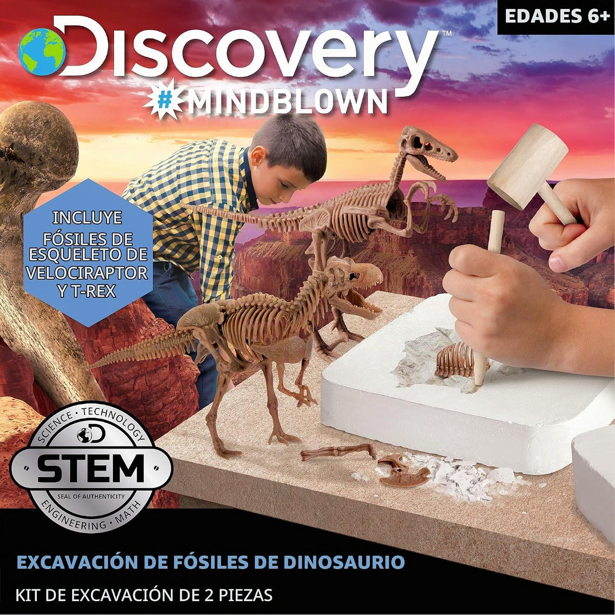 Discovery Kit de excavación de fósiles de dinosaurios - Excavar y montar esqueletos de T-Rex y Velociraptor | Rompecabezas de huesos de dinosaurio 3D | Juguete de paleontología jurásica para niños |