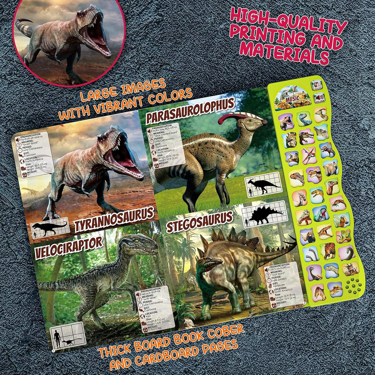 Dinosaur Toys para Kids 3-5 Dinosaur Book con Sounds 30 Species Names & Realistic Sounds InteractiveToys para Boys Girls Kids 2 3 4 5 6 7 Year Old Dinosaur Toys Gifts(Dinosaur Book)