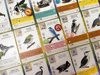 Stonemaier Games: Paquetes de Promoción de Aves Diseñadas por Fans de Wingspan | 150 Nuevas Aves Diseñadas por Fans Usando Poderes del Juego Base y Expansiones | Arte Consistente con las Aves