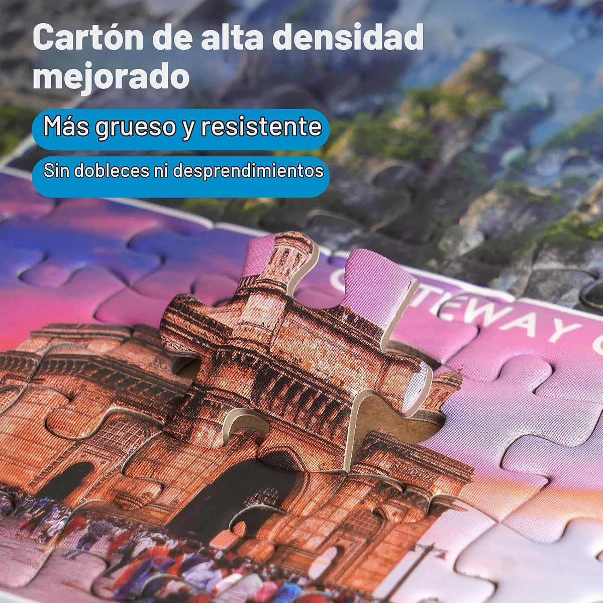 BenBen Paquete de 4 rompecabezas de 1000 piezas para adultos, piezas de