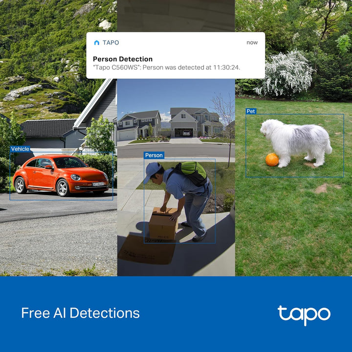 Tapo - Cámara de seguridad para exteriores con cable, panorámica\/i...