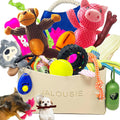Jalousie Multipack Dog Squeaky Toys Bulk Bundle Pup Toy - Puppy Toys para Pets para Small Medium Breed (24 PCs Gift Basket)