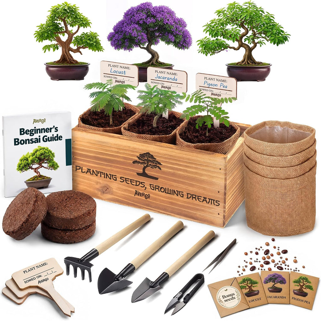 Bonsai Tree Kit Classic - Growing 3 Unique Japanese Bonzai Trees