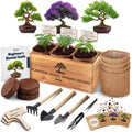 Bonsai Tree Kit Classic - Growing 3 Unique Japanese Bonzai Trees