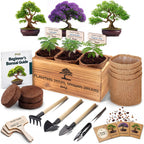 Bonsai Tree Kit Classic - Growing 3 Unique Japanese Bonzai Trees