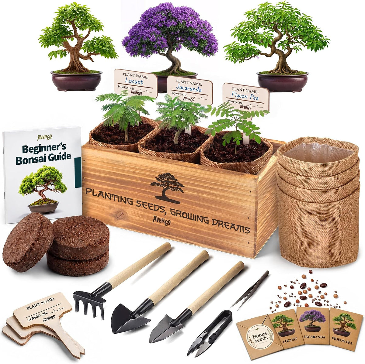Bonsai Tree Kit Classic - Growing 3 Unique Japanese Bonzai Trees