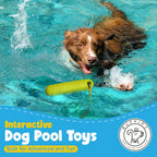 Juguetes acuáticos flotantes para perros, paquete de 2, palo de