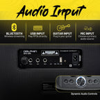 Dolphin Altavoz de fiesta Bluetooth para karaoke con 2 micrófonos