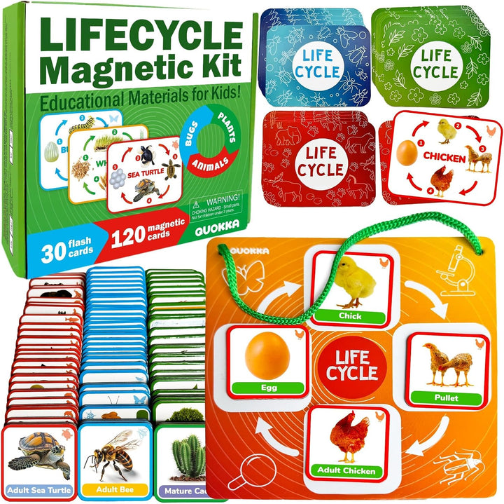 Juguetes de ciclo de vida para niños: tarjetas magnéticas de cienci...