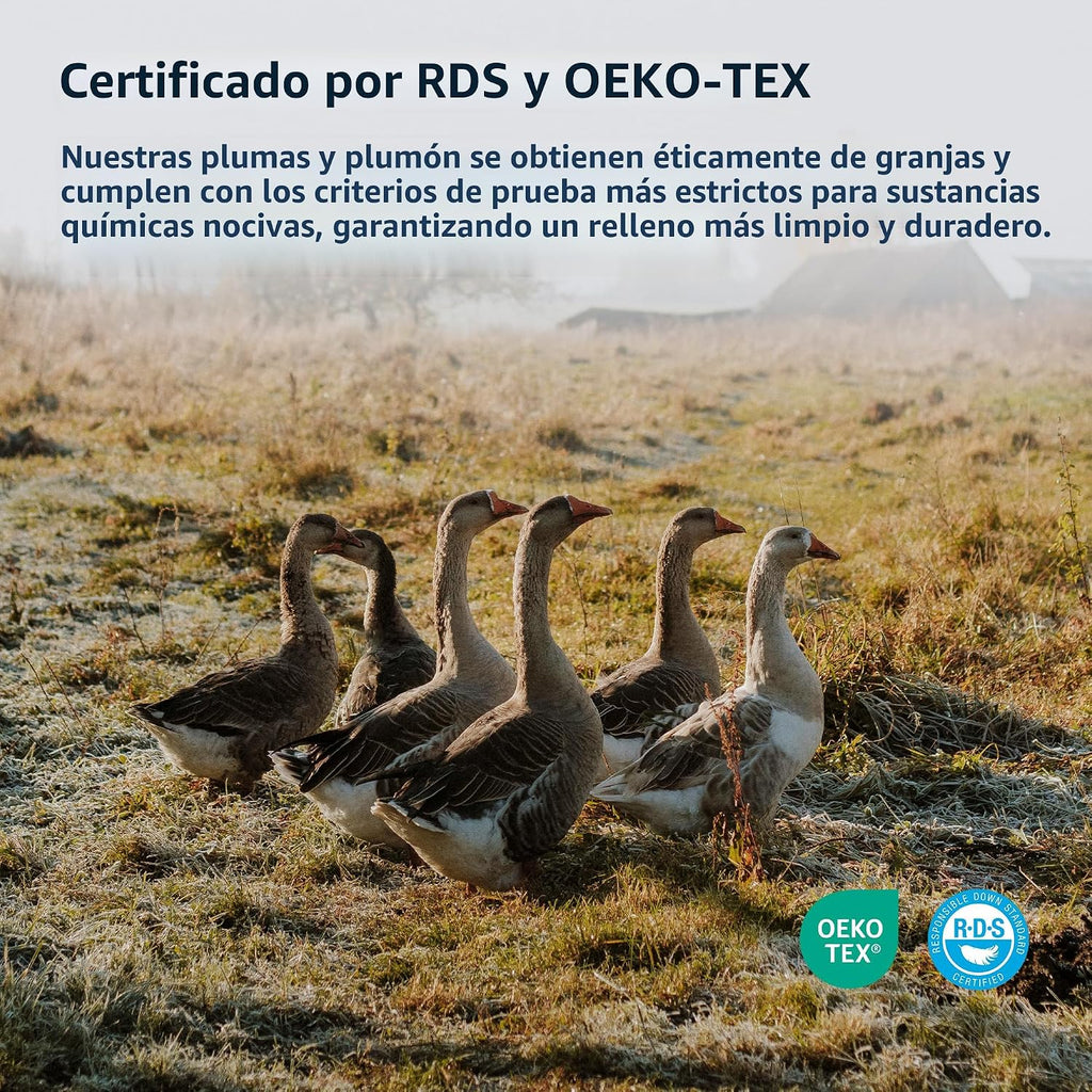 Pacific Coast Almohadas prémium de plumas de ganso y plumón tamaño Queen, paquete de 2, colección de calidad de hotel, almohada de firmeza media para personas que duermen de lado y espalda