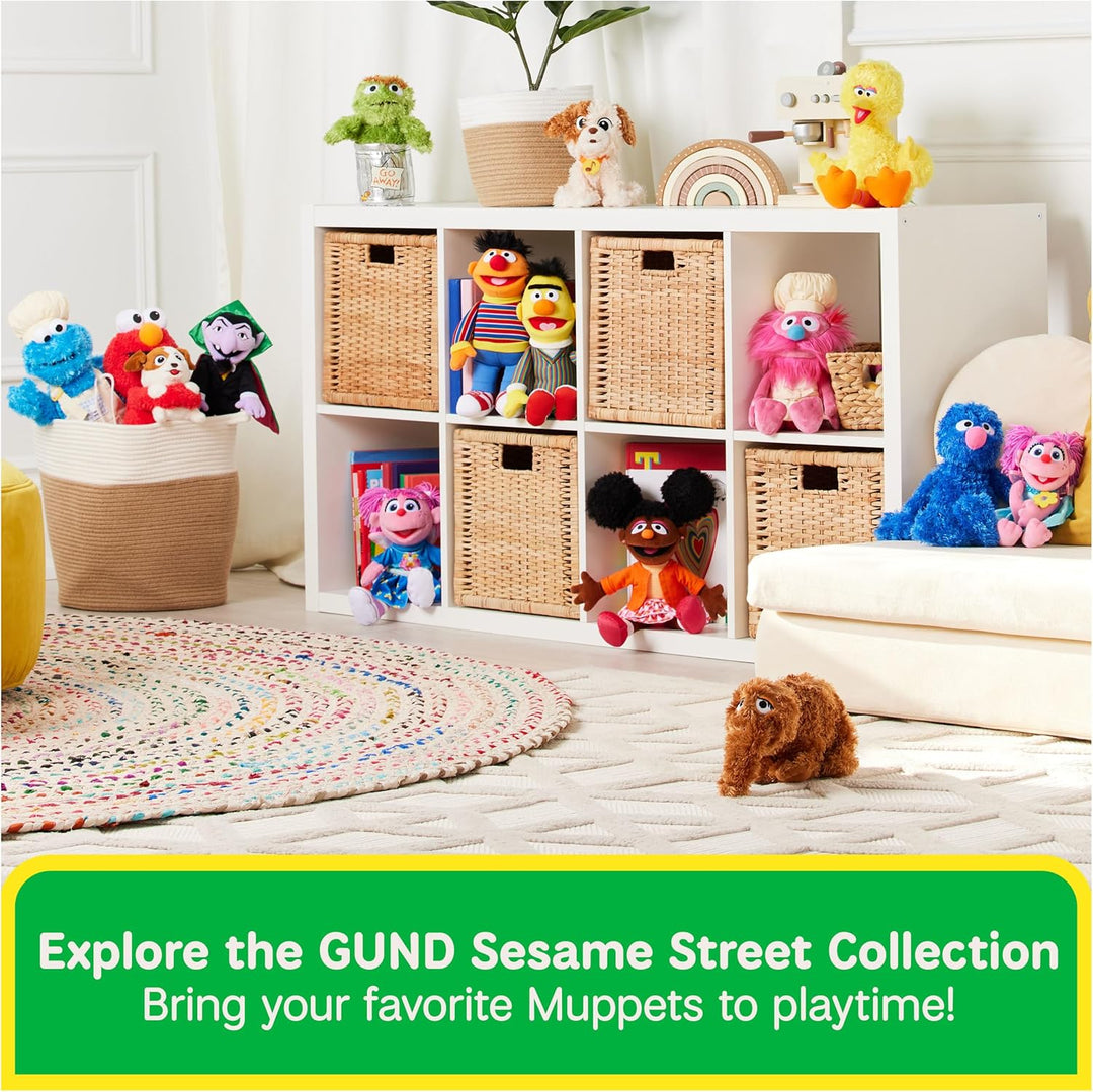 GUND Palillo de dientes oficial de Sesame Street Super