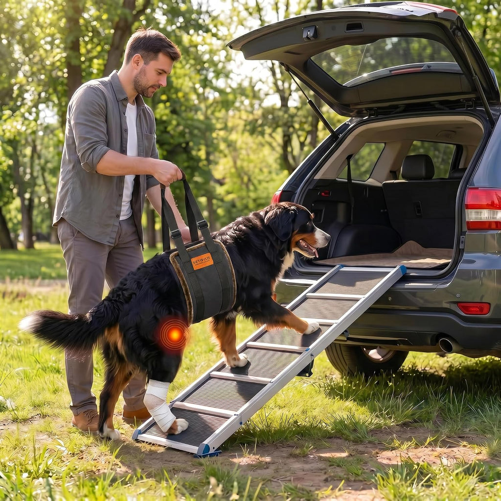 Arnés de elevación ajustable para perros, honda grande de la ayuda