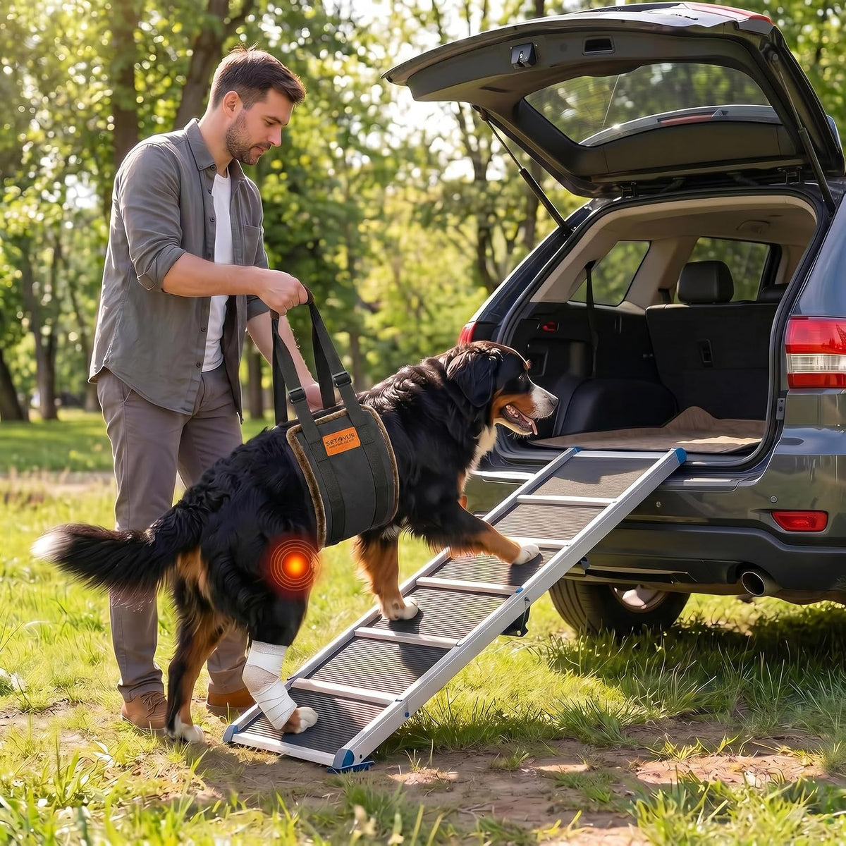 Arnés de elevación ajustable para perros, honda grande de la ayuda