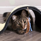Petlinks Dream Curl - Rascador para gatos, rascador de doble superficie, rascador para gatos y gatitos, gris, protector de muebles, talla única para todos los gatos