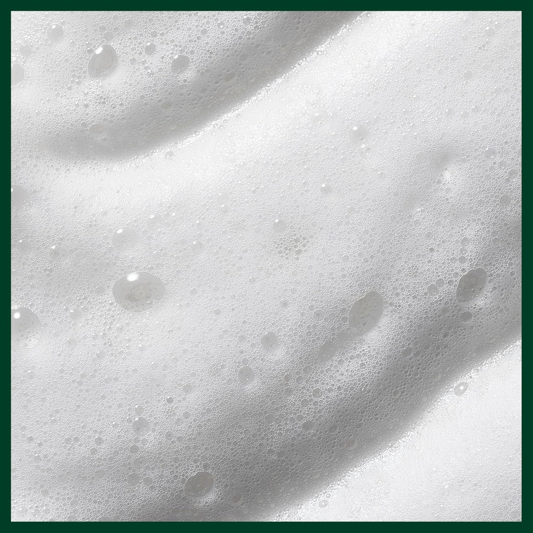 Aveda Nutriplenish Styling Treatment Foam