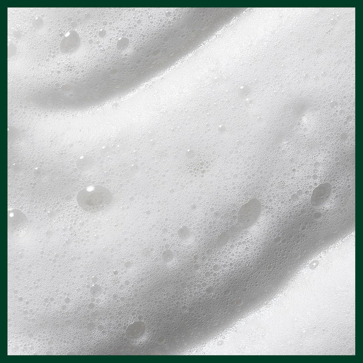 Aveda Nutriplenish Styling Treatment Foam