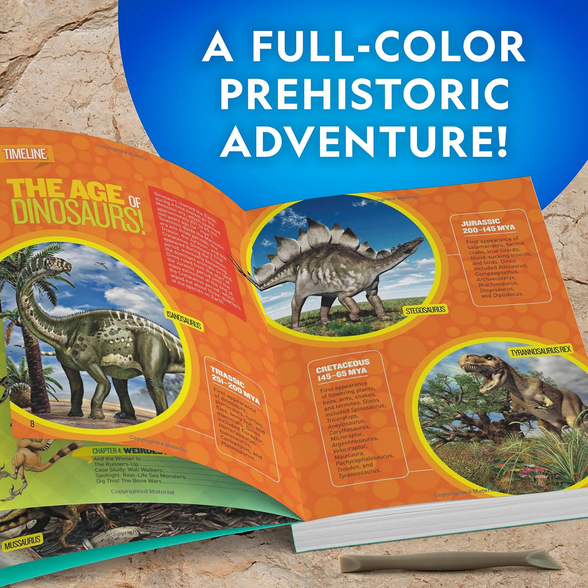 Juego de excavación de fósiles de dinosaurios NATIONAL GEOGRAPHIC y libro de dinosaurios para niños - Excava un fósil de diente de dinosaurio réplica y estudia la paleontología con un libro de