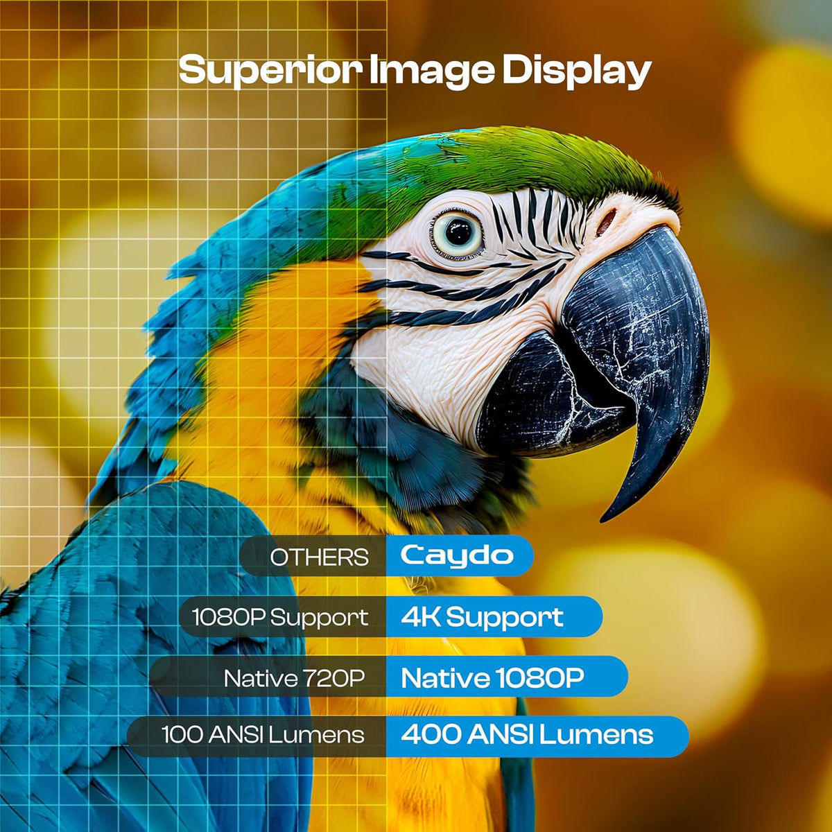 Caydo Proyector de arte P3 con aplicación de dibujo exclusiva para...