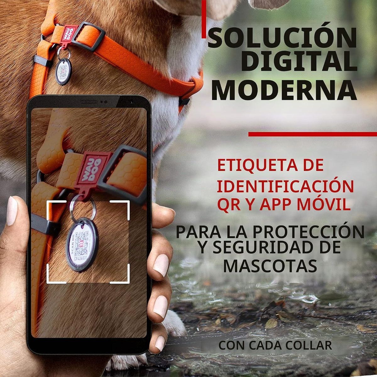 WAUDOG Arnés impermeable para perro con etiqueta de código QR y cierre de