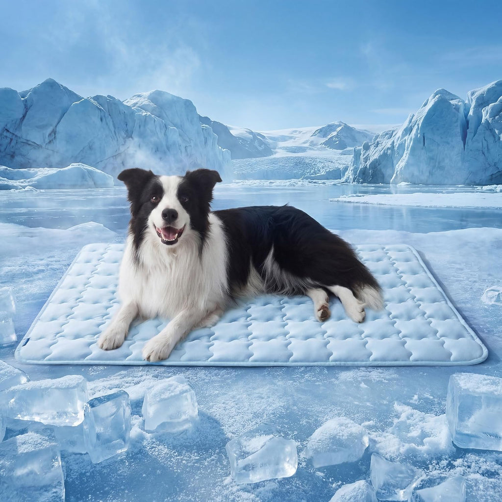 Bedsure ArcticMax™ Alfombrilla de enfriamiento para perros grandes