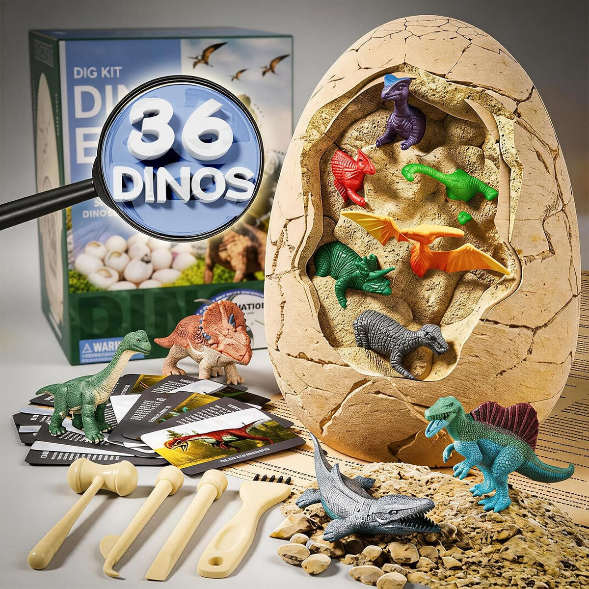 Uregoio 36 Kit único de excavación de dinosaurios con herramientas y