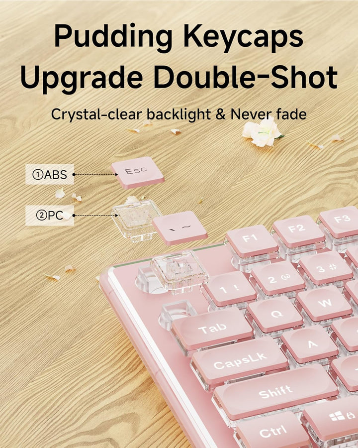 SEUNKWANG EWEADN GX710S Teclados Retroiluminados para Computadora,...