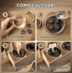 Bonsai Tree Kit Classic - Growing 4 Unique Japanese Bonzai Trees