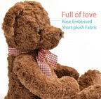 suepcuddly Oso de peluche posado de 20 pulgadas, lindo juguete de peluche para niñas y niños (marrón oscuro)