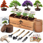 Bonsai Tree Kit Classic - Growing 4 Unique Japanese Bonzai Trees
