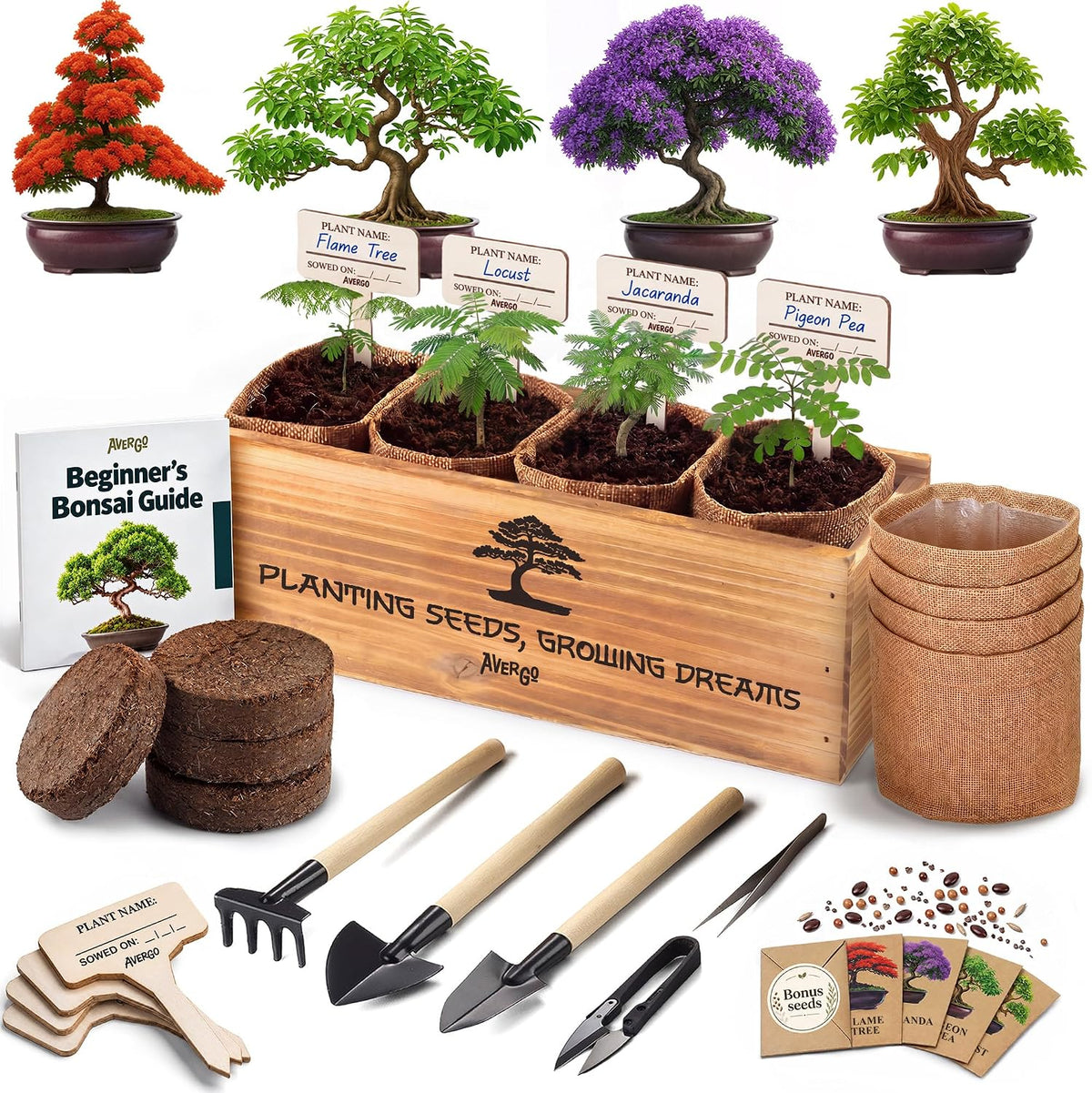 Bonsai Tree Kit Classic - Growing 4 Unique Japanese Bonzai Trees