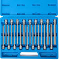 NEIKO 10079A Juego de llaves hexagonales Allen extra largas, juego de 18 piezas de llaves Allen SAE y métricas, accionamiento de 3/8, 1/8" – 3/8 pulg. & 3mm – 10mm, juego de llaves hexagonales Allen
