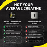 Ascent Creatina Monohidrato Limpia en Polvo - 5G Por Porción, Suple...