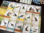 Stonemaier Games: Paquetes de Promoción de Aves Diseñadas por Fans de Wingspan | 150 Nuevas Aves Diseñadas por Fans Usando Poderes del Juego Base y Expansiones | Arte Consistente con las Aves