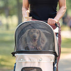 Carlson Pet Products Stroller, Incluye Rueda Delantera Giratoria de 360 Grados, Frenos en las Ruedas Traseras, ribete Reflectante, Paneles de Malla, Paraguas y Cabina de Malla, Caqui