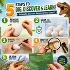 Kit de excavación de 24 huevos de dinosaurio con dinosaurios en el interior