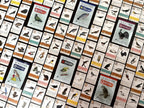 Stonemaier Games: Paquetes de Promoción de Aves Diseñadas por Fans de Wingspan | 150 Nuevas Aves Diseñadas por Fans Usando Poderes del Juego Base y Expansiones | Arte Consistente con las Aves