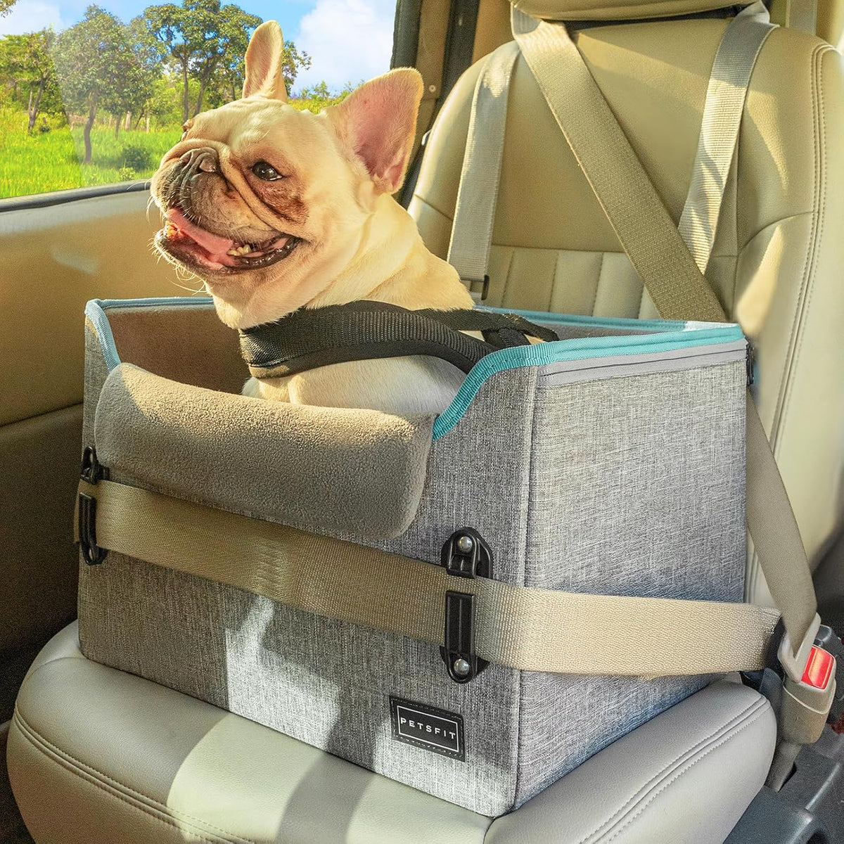 PETSFIT Asientos de coche para perros pequeños – Hebillas de seguridad patentadas – Correa de seguridad – Asiento plegable elevador para perro de viaje que reduce la ansiedad y los viajes por