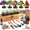 Kit Bonsái Deluxe - Cultivo de 5 árboles bonsái japoneses únicos