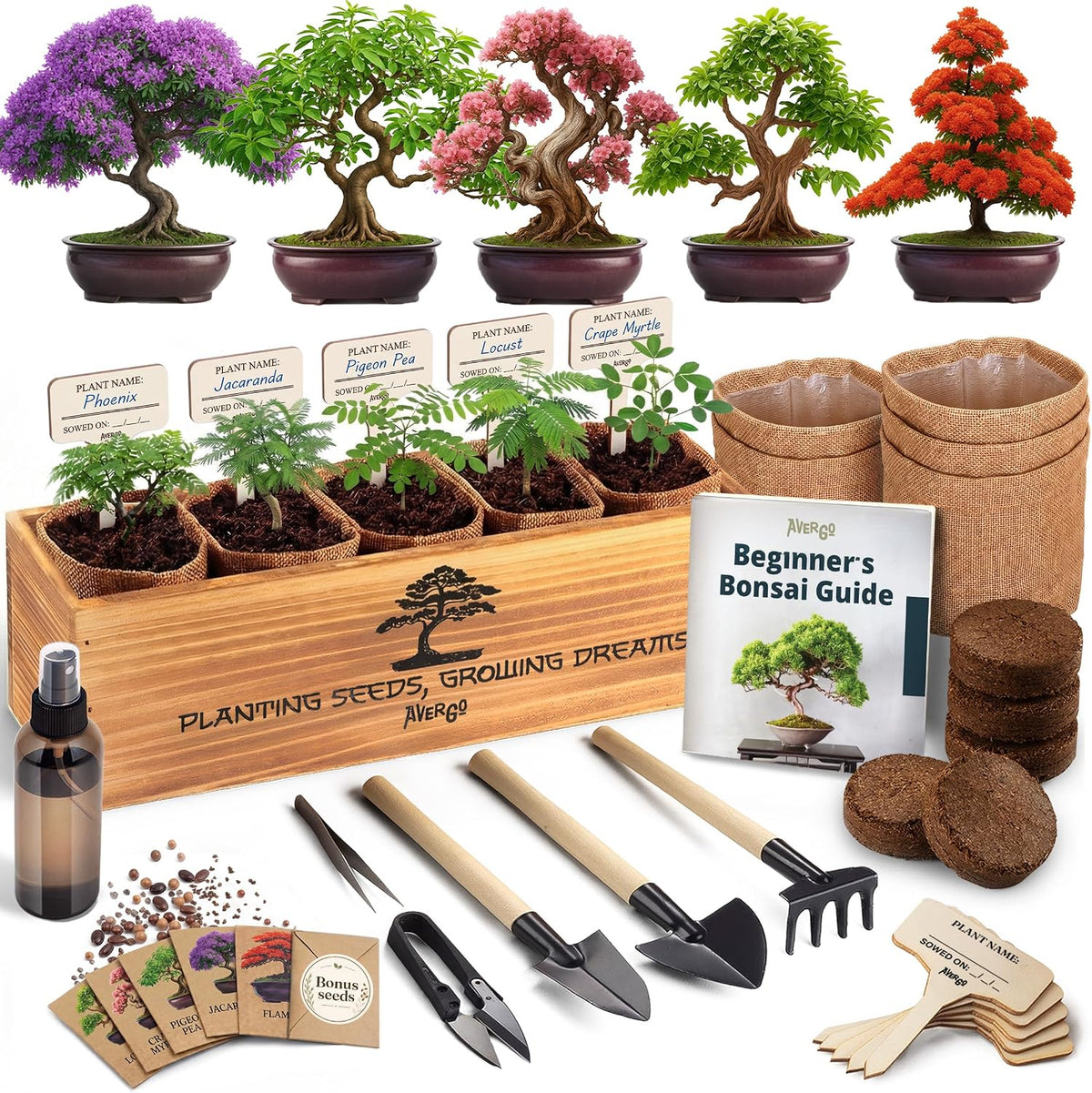 Kit Bonsái Deluxe - Cultivo de 5 árboles bonsái japoneses únicos