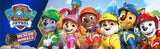 Paw Patrol Rescue Wheels Rockys - Camión de reciclaje con