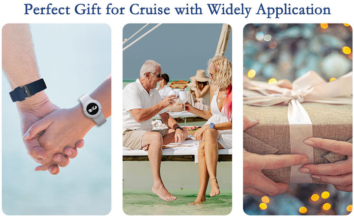 4 paquetes de porta credenciales Princess Cruise Medallion