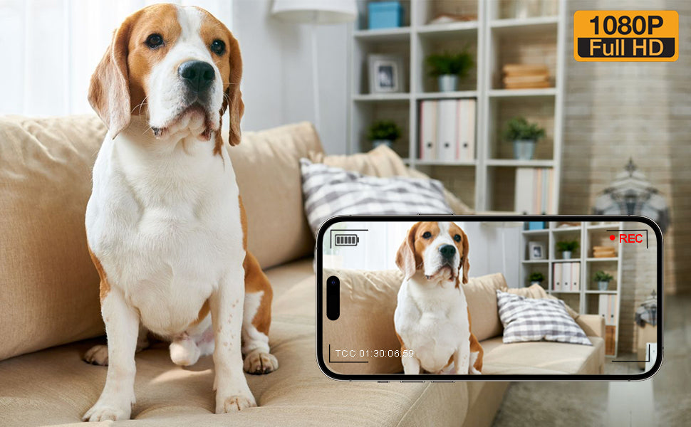 Mini cámara oculta 1080P pequeña cámara de niñera para