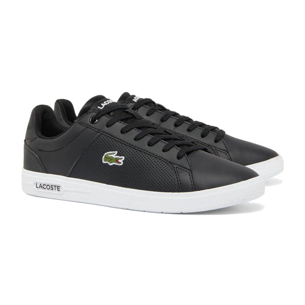 Zapatilla Hombre Lacoste Base A0113 100% Original