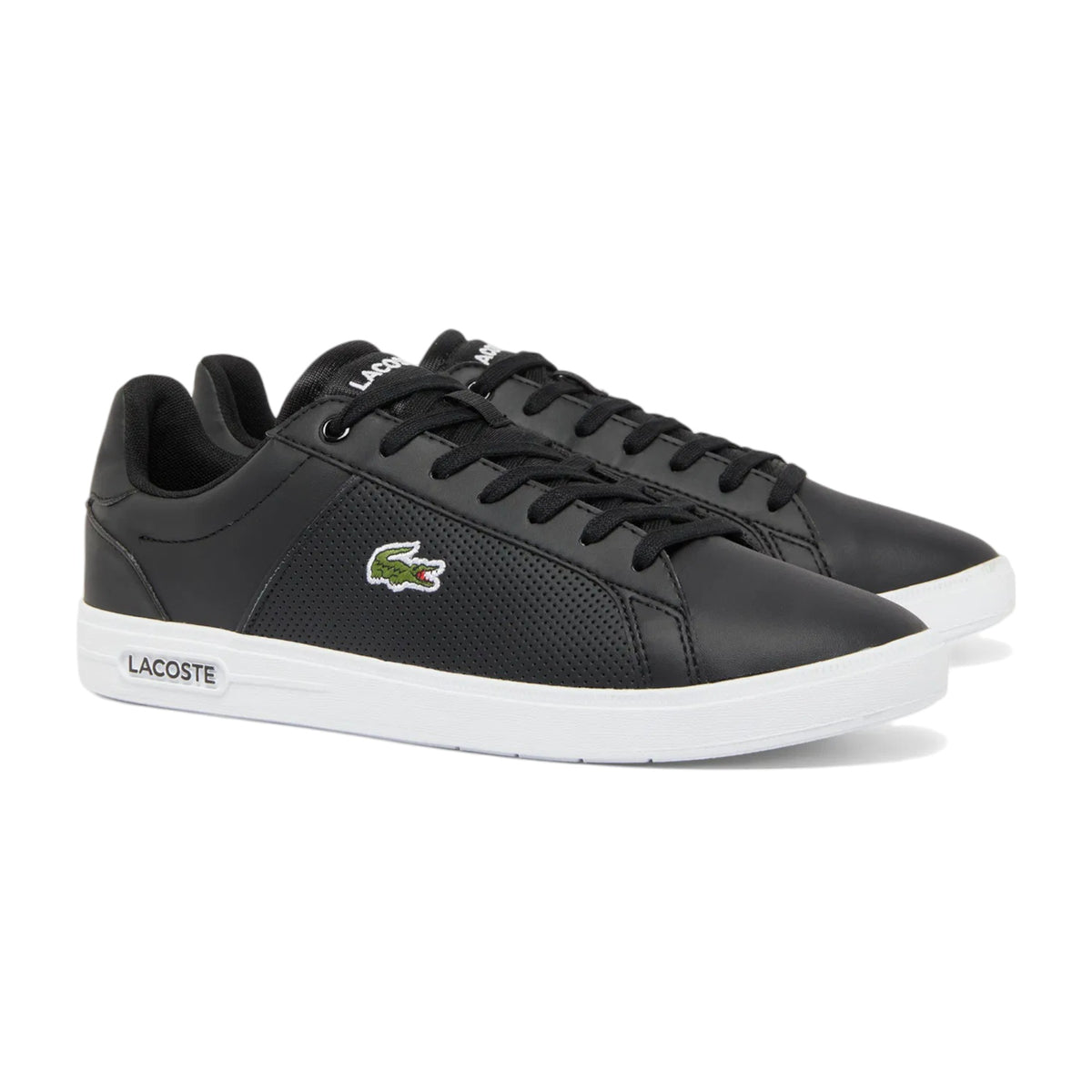 Zapatilla Hombre Lacoste Base A0113 100% Original